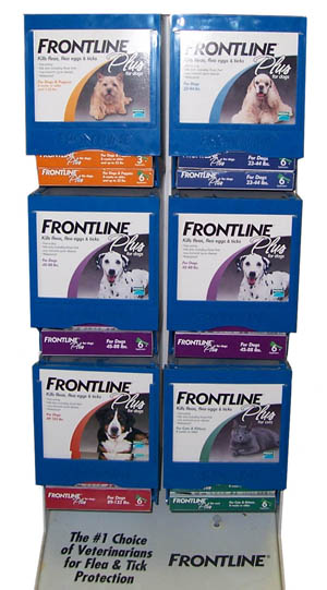 frontline